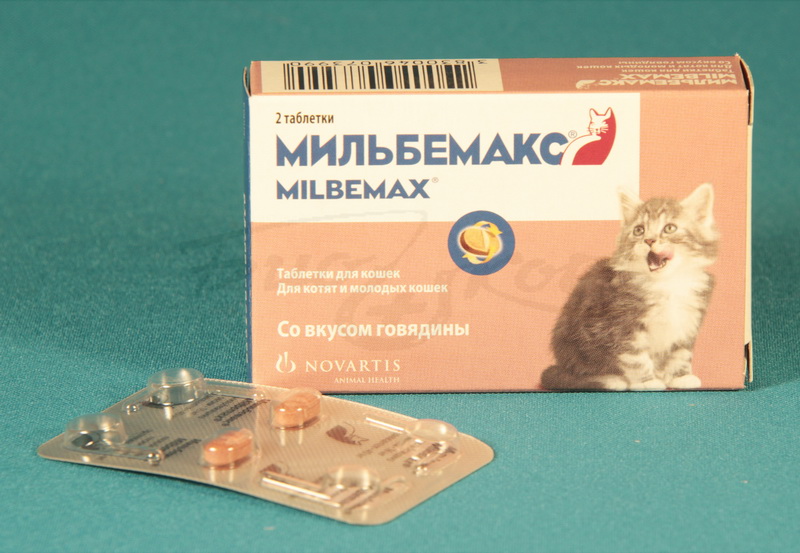 Мильбемакс для Котят и Молодых кошек ( Мильбемицин,Празиквантел)