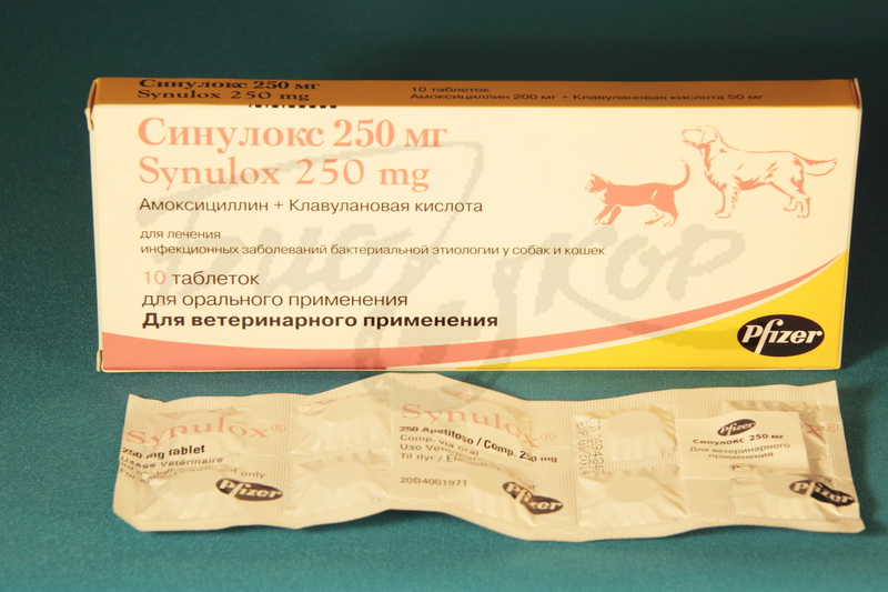 Синулокс 250 мг №10