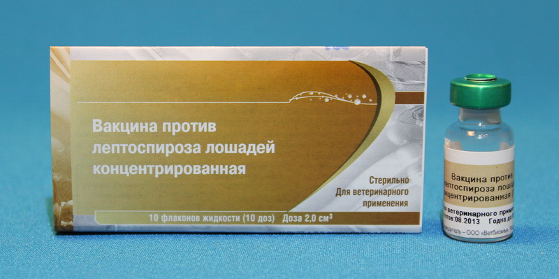 Вакцина против лептоспироза лошадей 1 доза Россия