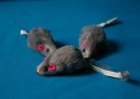 Игрушка мышь серая 4,5-5 см